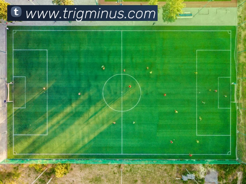 bob手机网页版登录入口平台生态图